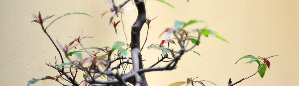 Co-piloting Inquiry Learning